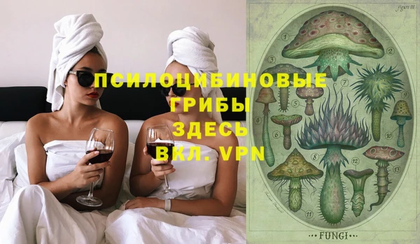 МДПВ Алексин