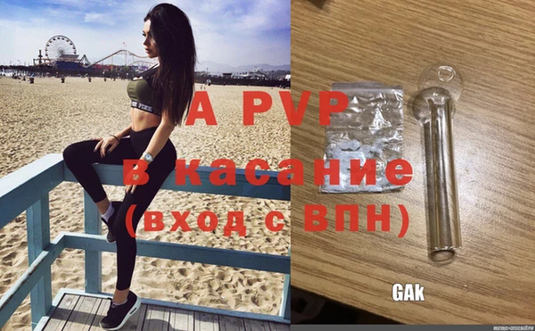 гашик Нефтегорск