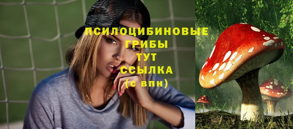 МДПВ Алексин