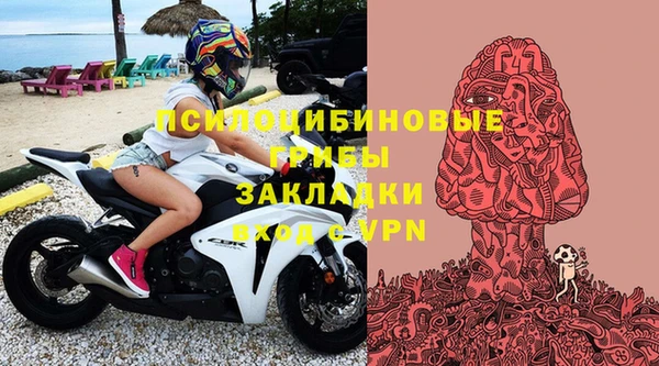 Альфа ПВП Алзамай